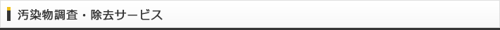 汚染物調査・除去サービス